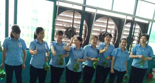 哔咔漫画2.0新能源锂哔咔漫画下载APP厂家,向组装pack生产线发放端午福利